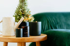 Earth & Ember 13 oz Candle: Sandalwood & Fir