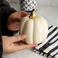 Mini Pumpkins Ceramic: Pastel-Cream